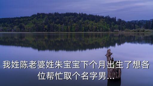 陳鴻雁