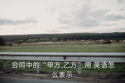  合同中的“甲方,乙方”用 英語怎么表示