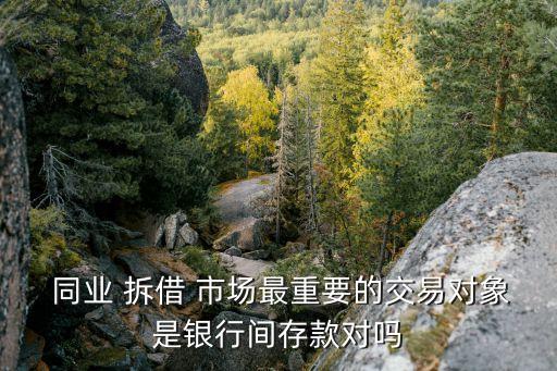 同業(yè)拆借市場(chǎng)