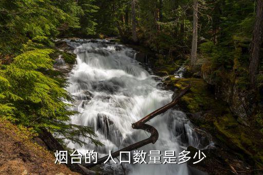 煙臺市人口,山東煙臺市人口