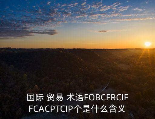 國際 貿(mào)易 術語FOBCFRCIFFCACPTCIP個是什么含義