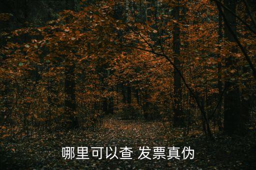 12366發(fā)票查詢