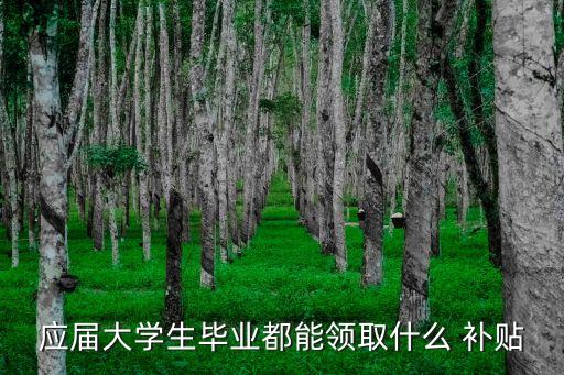 應(yīng)屆大學(xué)生畢業(yè)都能領(lǐng)取什么 補(bǔ)貼