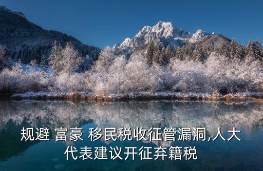 規(guī)避 富豪 移民稅收征管漏洞,人大代表建議開(kāi)征棄籍稅