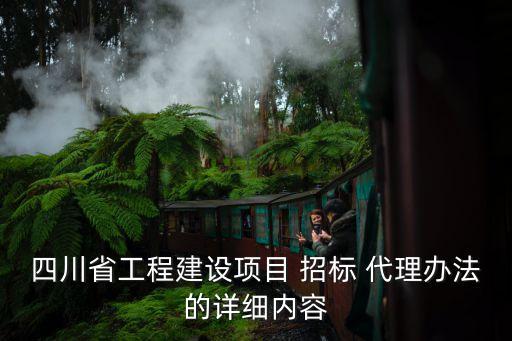 招標(biāo)代理機(jī)構(gòu)處罰條例全文