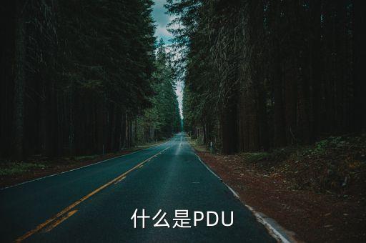 什么是PDU