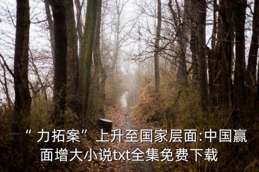 “ 力拓案”上升至國(guó)家層面:中國(guó)贏面增大小說(shuō)txt全集免費(fèi)下載
