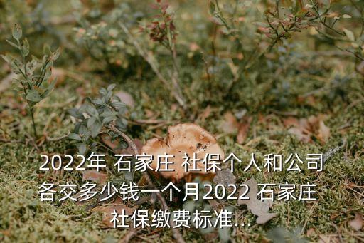 石家莊社保