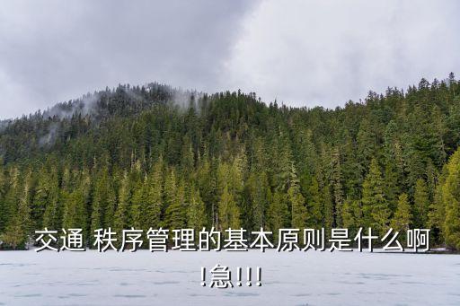  交通 秩序管理的基本原則是什么啊!急!!!