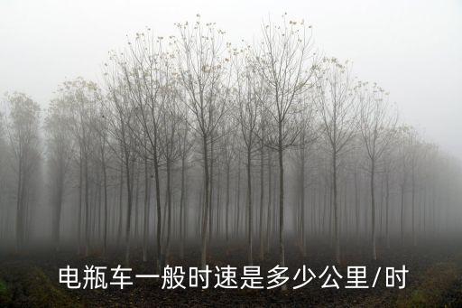 電瓶車速度