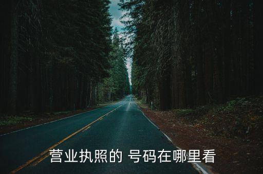 營業(yè)執(zhí)照號(hào)碼