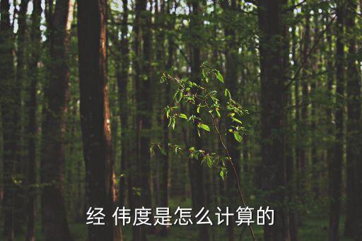 經(jīng) 偉度是怎么計算的