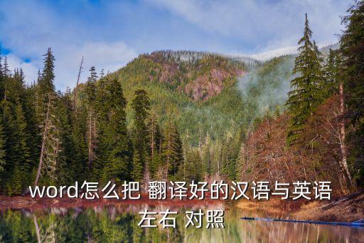 word怎么把 翻譯好的漢語與英語左右 對照