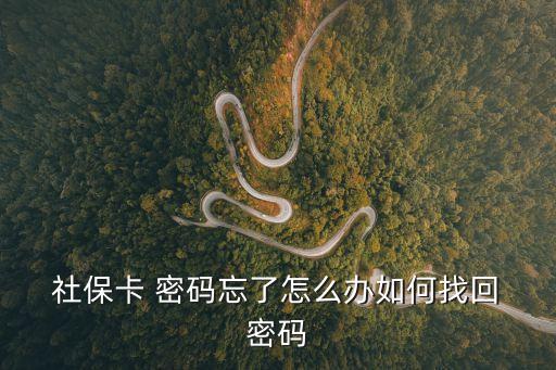 社?？艽a忘了怎么辦,河北省社?？艽a忘了怎么辦
