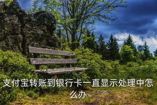 支付寶轉(zhuǎn)賬到銀行卡一直顯示處理中怎么辦