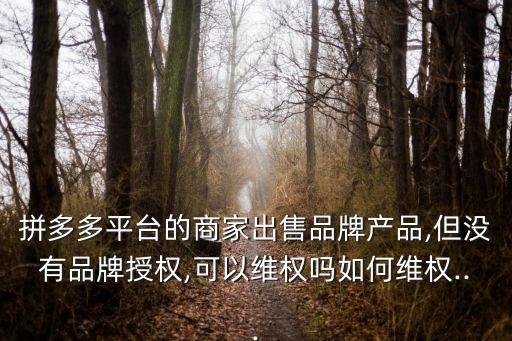 拼多多平臺(tái)的商家出售品牌產(chǎn)品,但沒(méi)有品牌授權(quán),可以維權(quán)嗎如何維權(quán)...