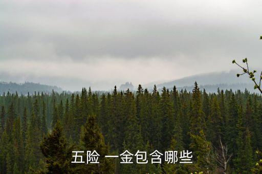  五險 一金包含哪些