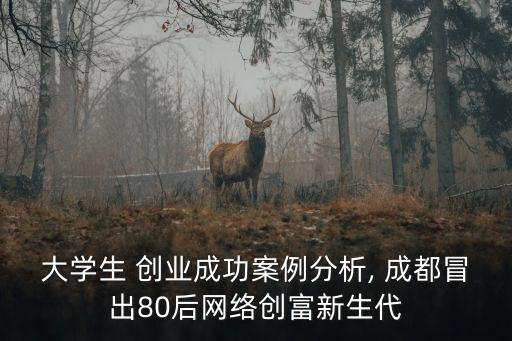 大學生 創(chuàng)業(yè)成功案例分析, 成都冒出80后網(wǎng)絡創(chuàng)富新生代