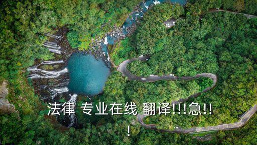  法律 專(zhuān)業(yè)在線 翻譯!!!急!!!
