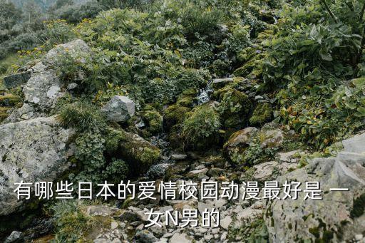 有哪些日本的愛情校園動(dòng)漫最好是 一女N男的