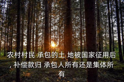 承包地被征收土地補償款歸誰,村干部未經(jīng)村民同意強行征地