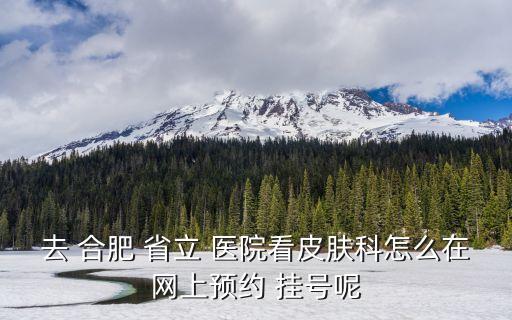 去 合肥 省立 醫(yī)院看皮膚科怎么在網(wǎng)上預(yù)約 掛號呢
