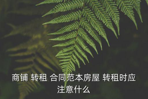 商鋪 轉租 合同范本房屋 轉租時應注意什么