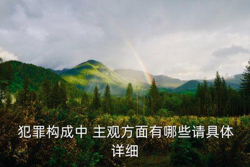  犯罪構(gòu)成中 主觀方面有哪些請(qǐng)具體詳細(xì)