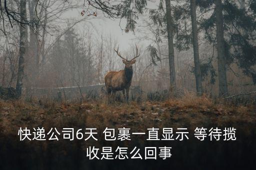 包裹正在等待攬收是什么意思,兩天了包裹正在等待攬收是什么意思