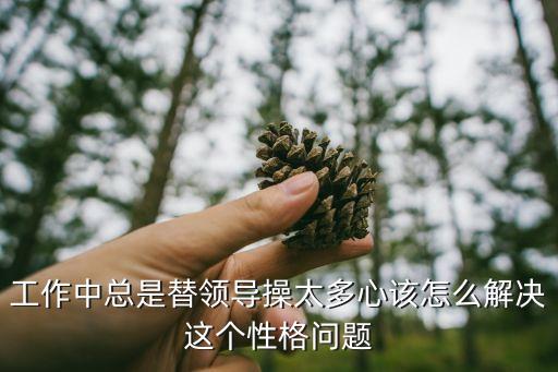 被老板操