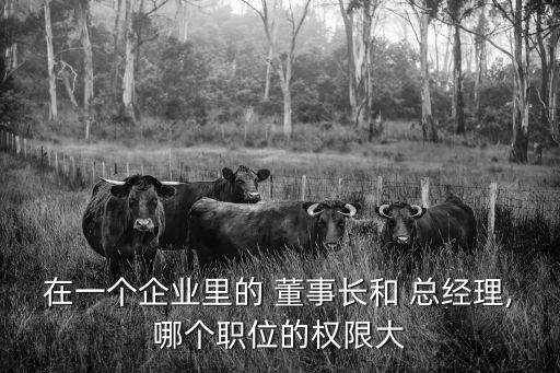 董事長(zhǎng)和總經(jīng)理