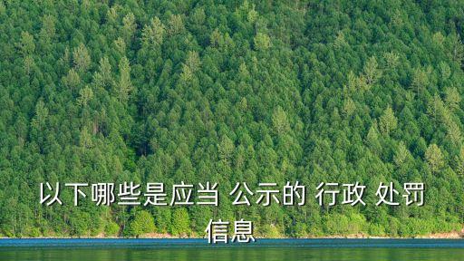 行政處罰公示