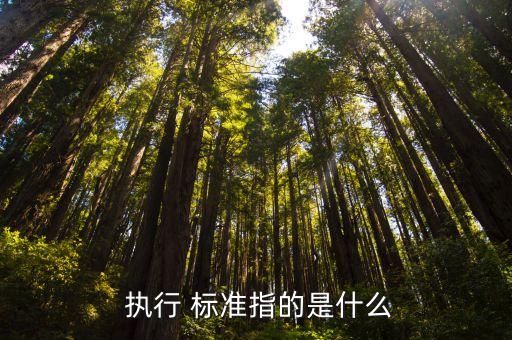 產(chǎn)品執(zhí)行標(biāo)準(zhǔn)