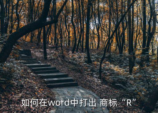 如何在word中打出 商標(biāo)“R”