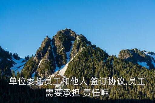 簽訂合同與簽定合同的法律責任,簽訂和簽定哪個更有法律效力