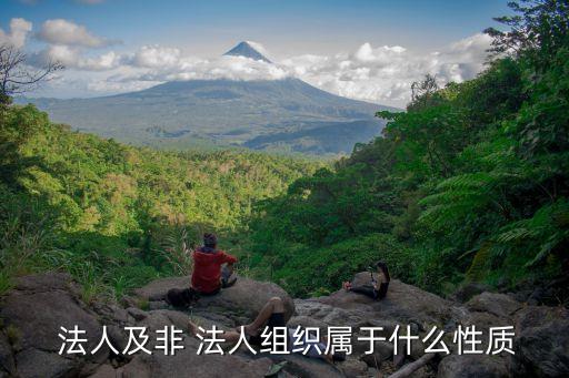  法人及非 法人組織屬于什么性質(zhì)