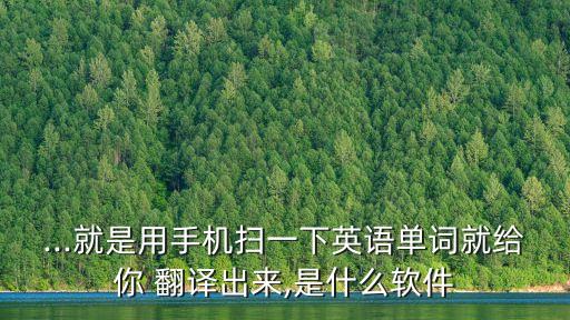 在線掃描翻譯器