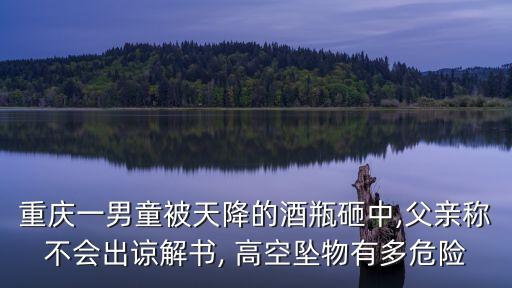 高空拋物案例,民法典高空拋物案例