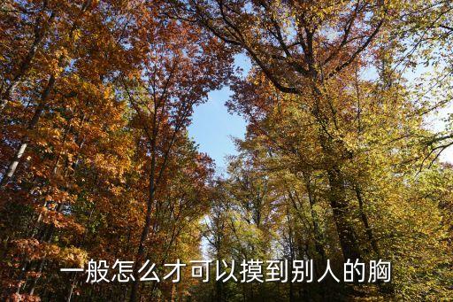 一般怎么才可以摸到別人的胸