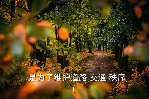 交通秩序