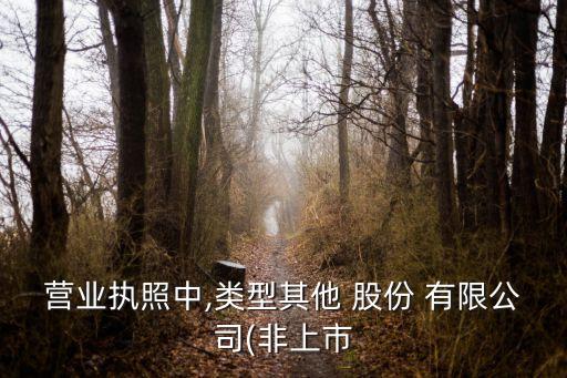 其他股份有限公司,如何定義其他股份有限公司