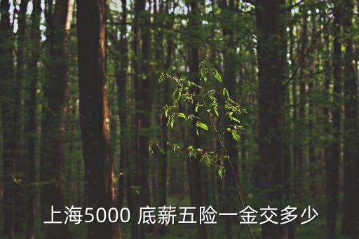  上海5000 底薪五險一金交多少