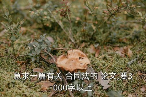 急求一篇有關(guān) 合同法的 論文,要3000字以上