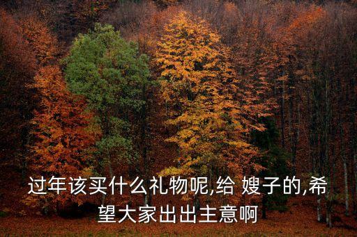 過(guò)年該買(mǎi)什么禮物呢,給 嫂子的,希望大家出出主意啊