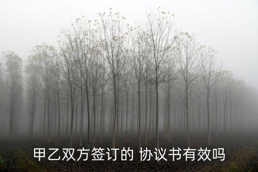 甲乙雙方簽訂的 協(xié)議書有效嗎