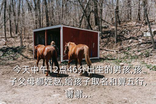 趙雙