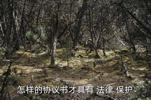 建立什么合同才受法律保護