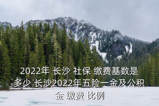 長沙社保繳費(fèi)比例