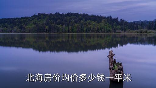  北海房價均價多少錢一平米