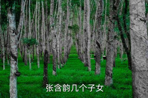  張含韻幾個子女